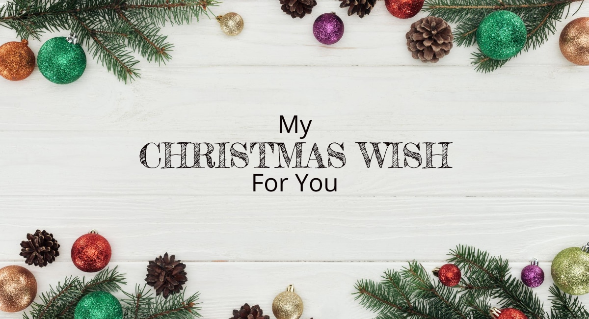 Here is my Christmas Wish for you