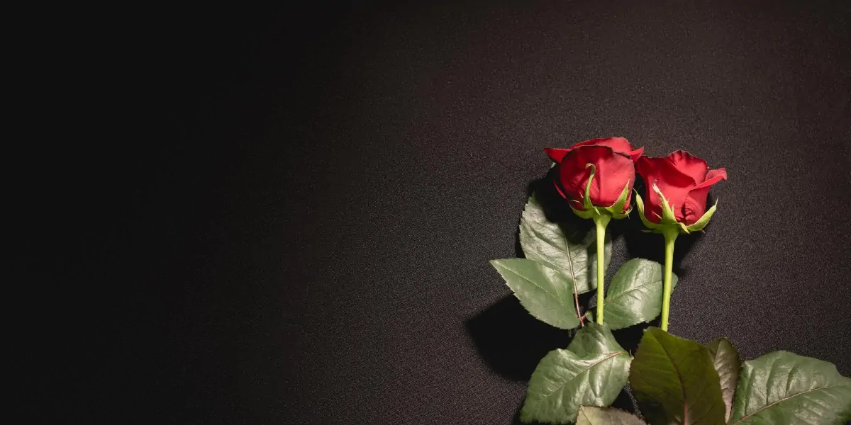 A simple black background with some red roses.