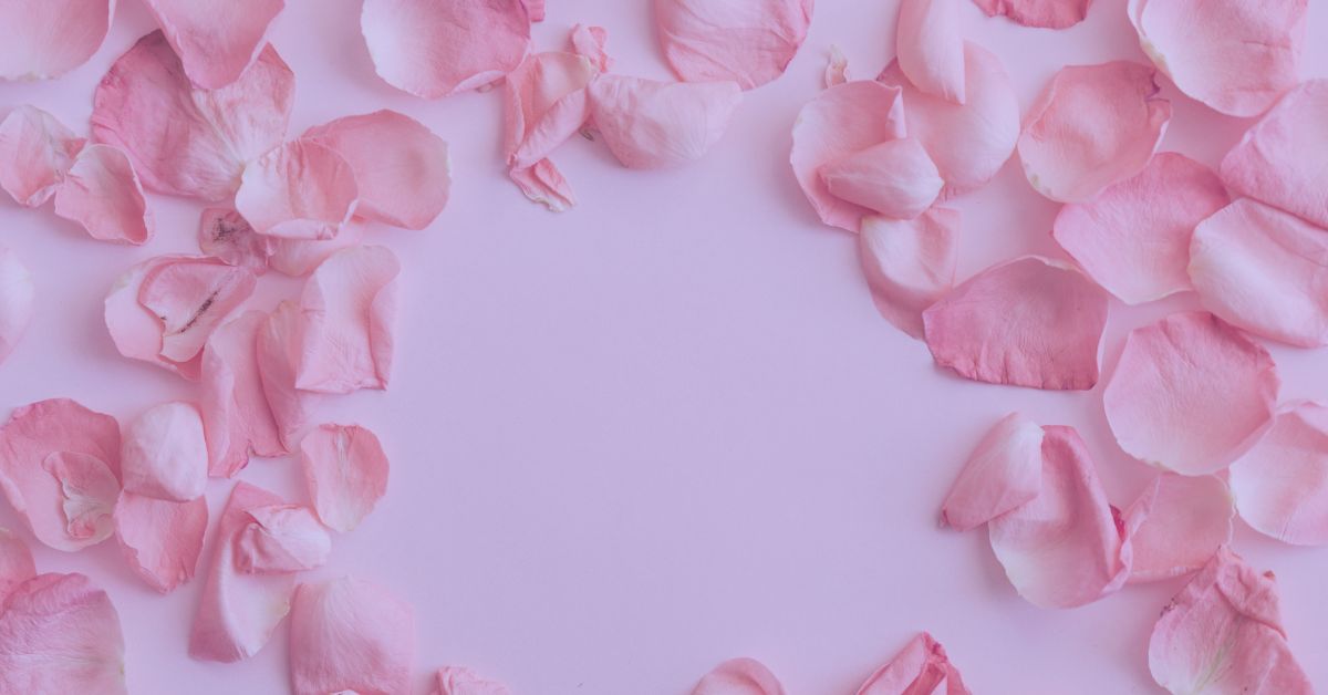 Scattered soft pink rose petals on a pale pink background, evoking the delicate and painful intersection of fibromyalgia symptoms with menstruation cycles.