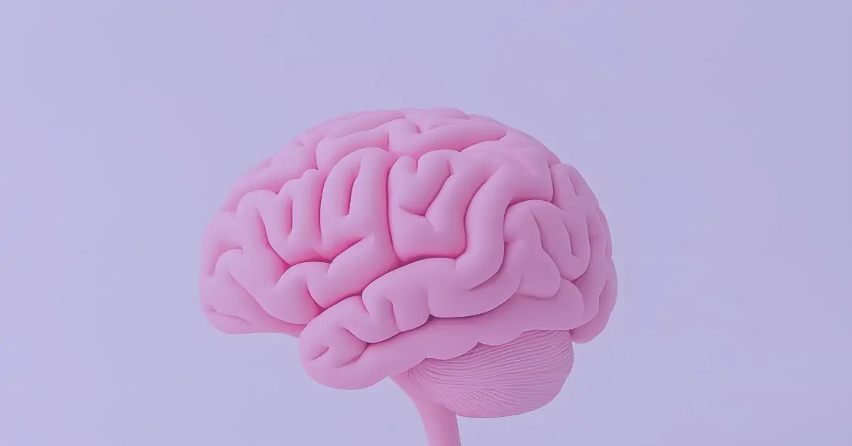A detailed pink 3D brain model against a soft purple background, representing the complex neurological connections between fibromyalgia and autism spectrum disorders.
