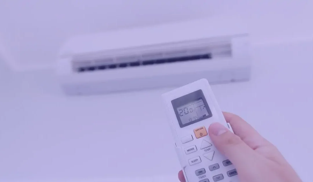 Surviving a Heatwave!