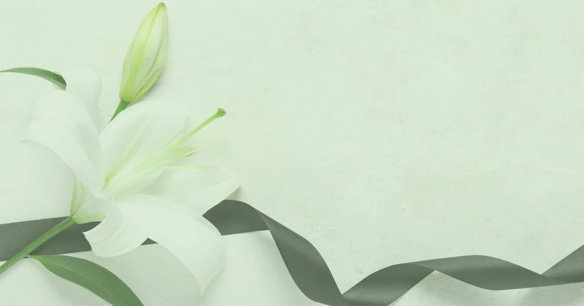 White lily flower with green stem and bud beside a dark mourning ribbon on pale green background, symbolising grief one year on.