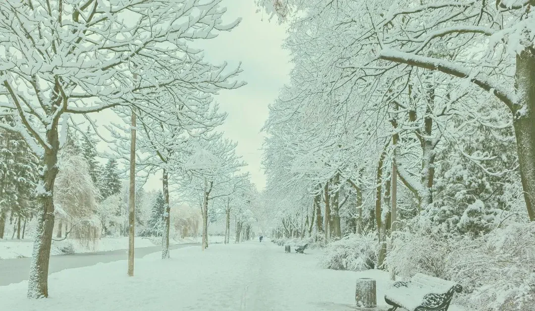 Spoonie winter blues – 4 Ways to crush them