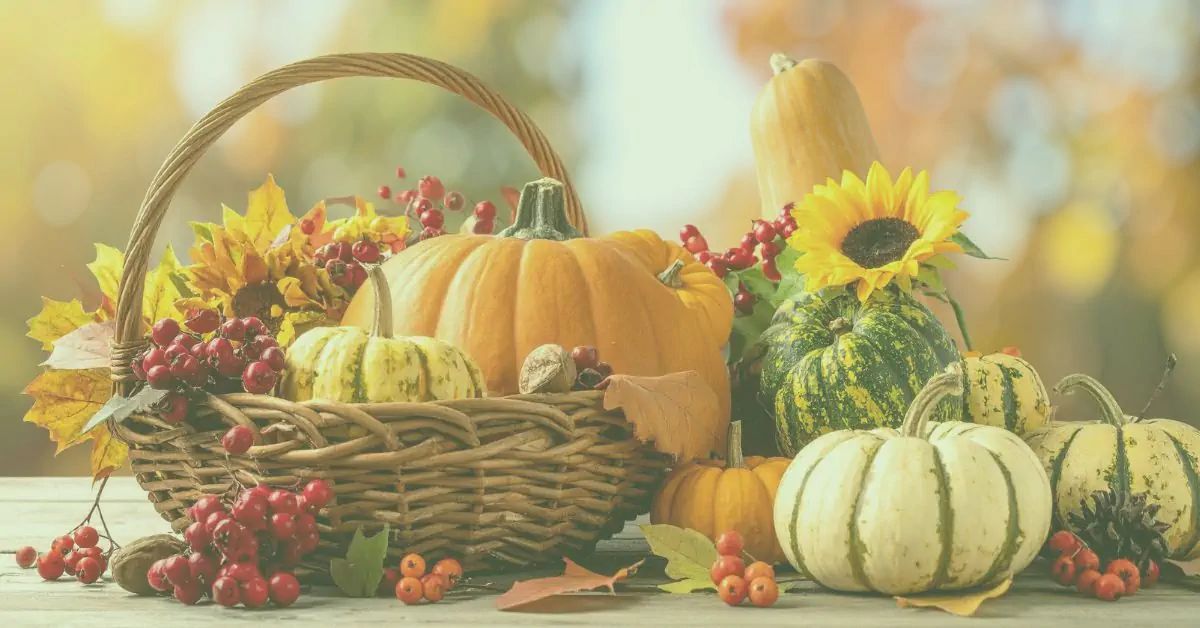 Rustic wicker basket overflowing with autumn pumpkins, striped squash, red berries, walnuts, and a bright sunflower against a blurred fall backdrop – perfect Thanksgiving harvest vibes.